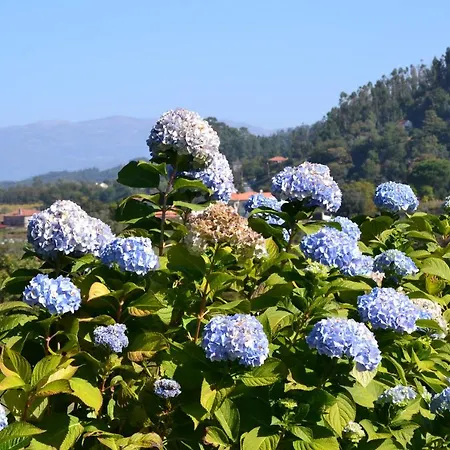 Casa Do Sorro * Ponte de Lima