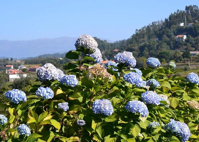 Casa Do Sorro * Ponte de Lima